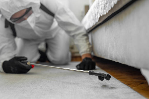 Professional Bed Bug Control technician working in Milford, PA